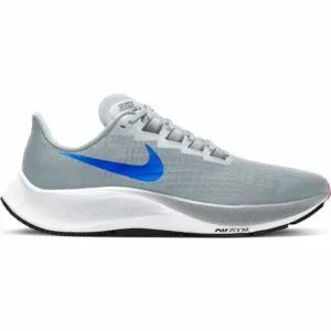 Nike Air Zoom Pegasus 39