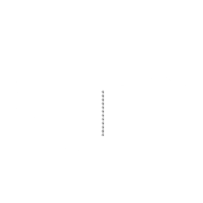 Alohamobiledetailing801.com