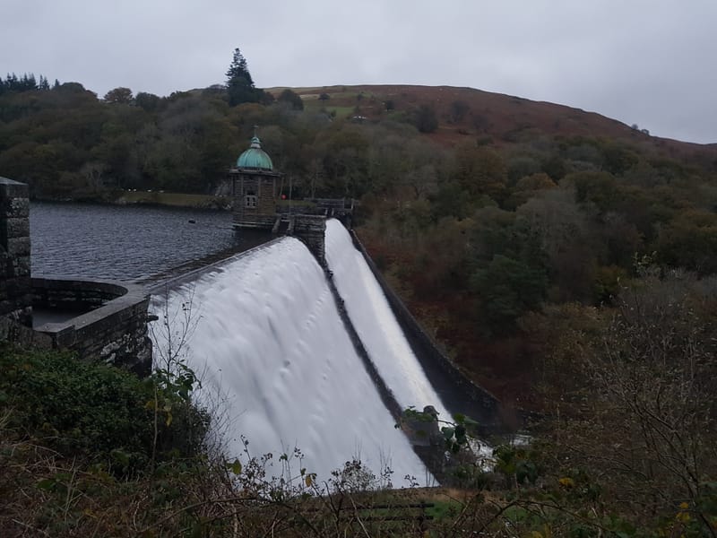 Specialist cleaning services