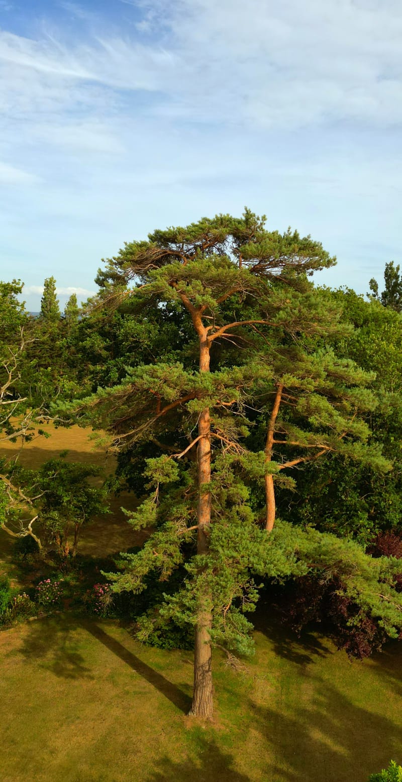 Landscape and Nature Shots