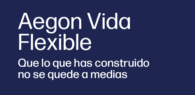 SEGURO DE VIDA FLEXIBLE