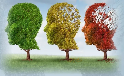 Άνοια και Βαρηκοΐα