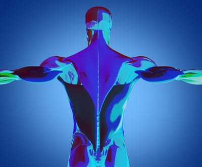 Honor Thy Body and Strength will Never Get Old