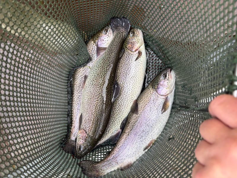 All Year Round Fishing “click for more info”