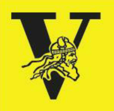 Valley Vikings Netball Club