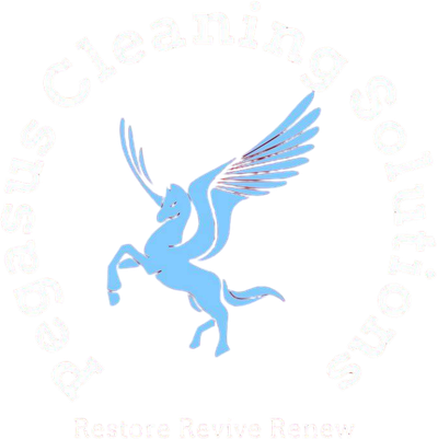 Pegasus Cleaning Solutions
