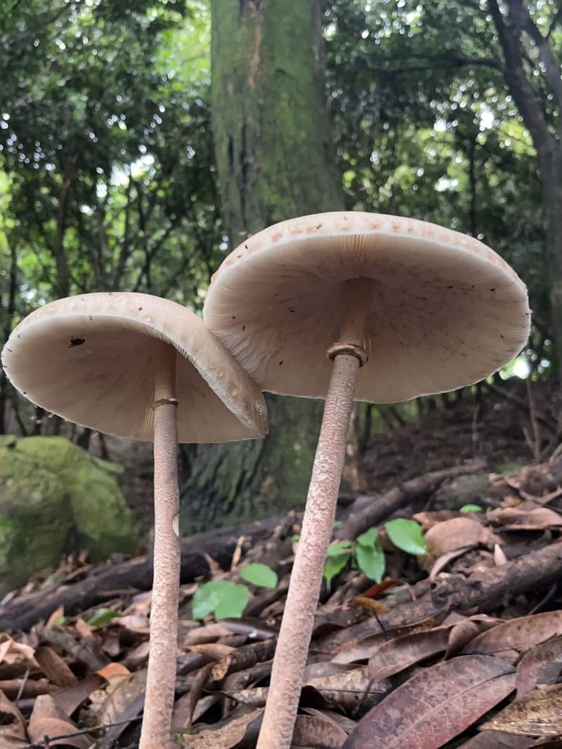 First day of School - Ayden