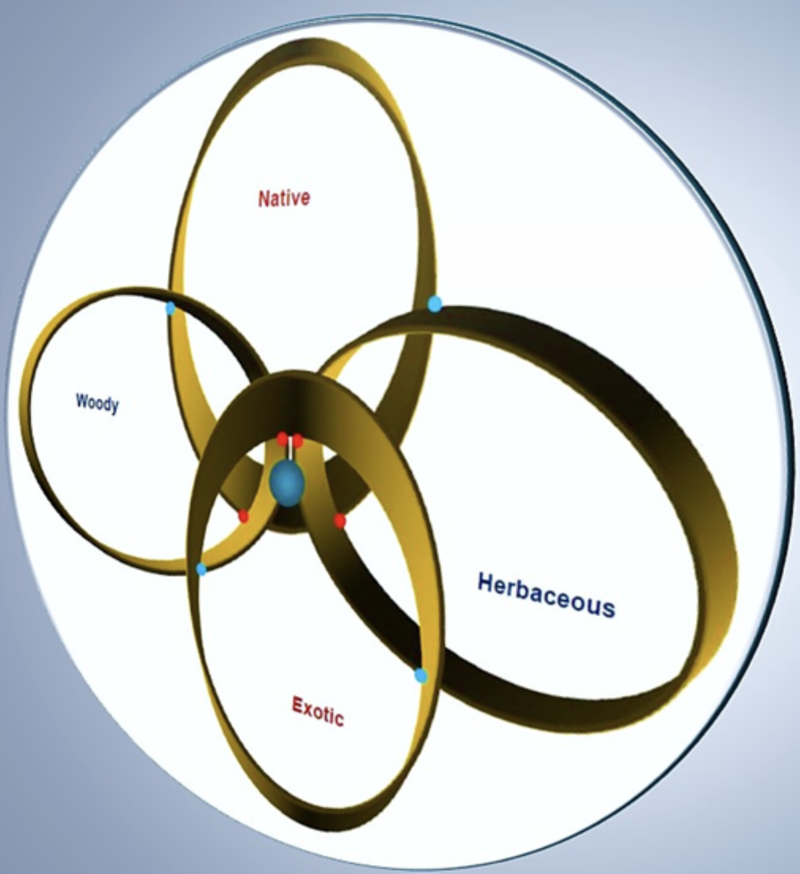 Quantum & Classical Mechanics of the Vegetative Complex Health Index