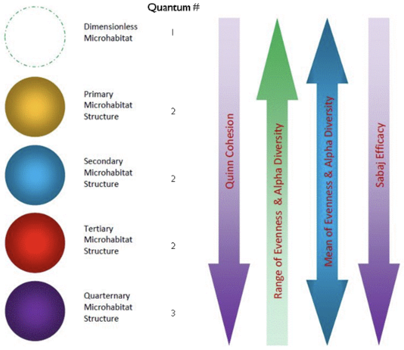 A Primer for Quantum & Classical Mechanics of the Ecosphere