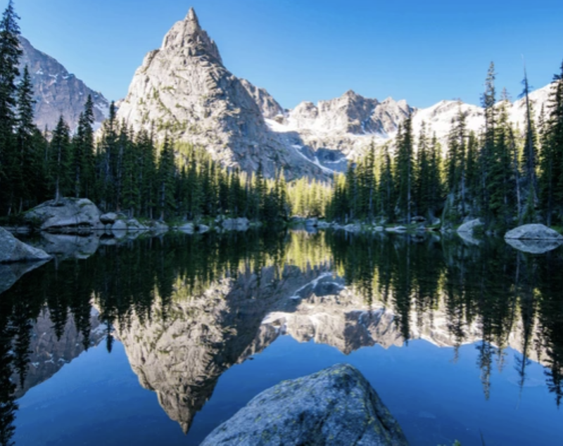 Wilderness Protection