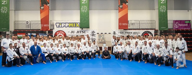 kelemen ryu ju jitsu seminar סמינר קיץ בהונגריה