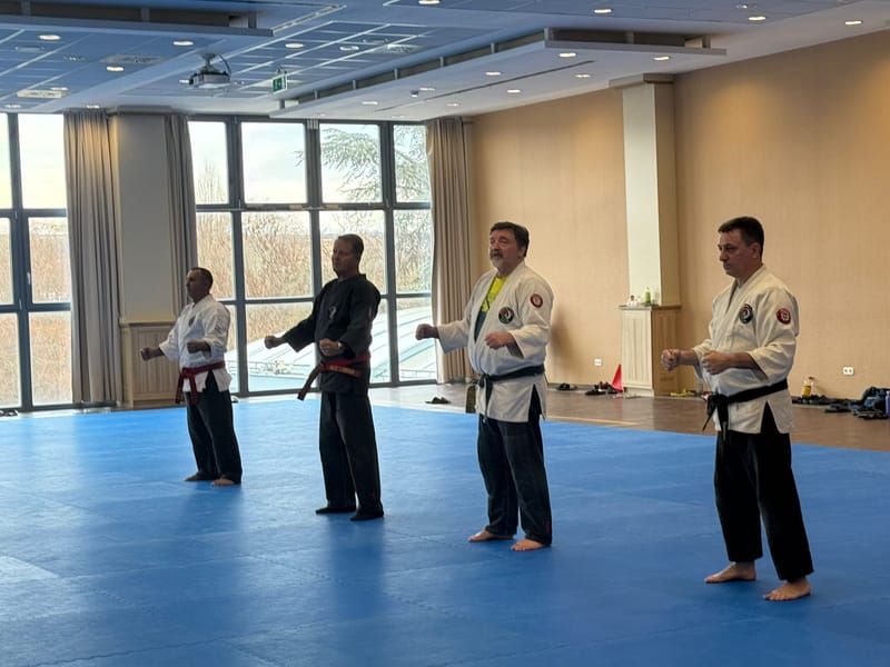 Kelemen Ryu seminar 13-15-2-2026 סמינר חורף בעיר אגר הונגריה
