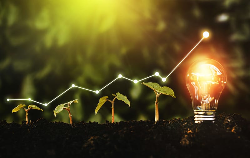 Sustainable Development