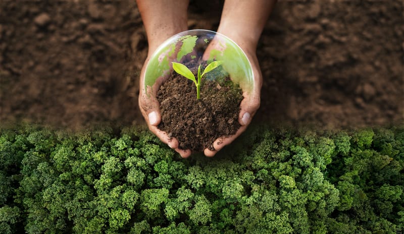 Climate, Environmental Sustainability, & ESG