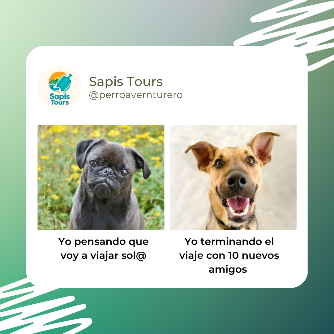Sapis Tour