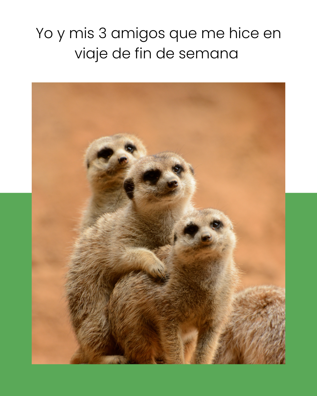 Sapis Tour