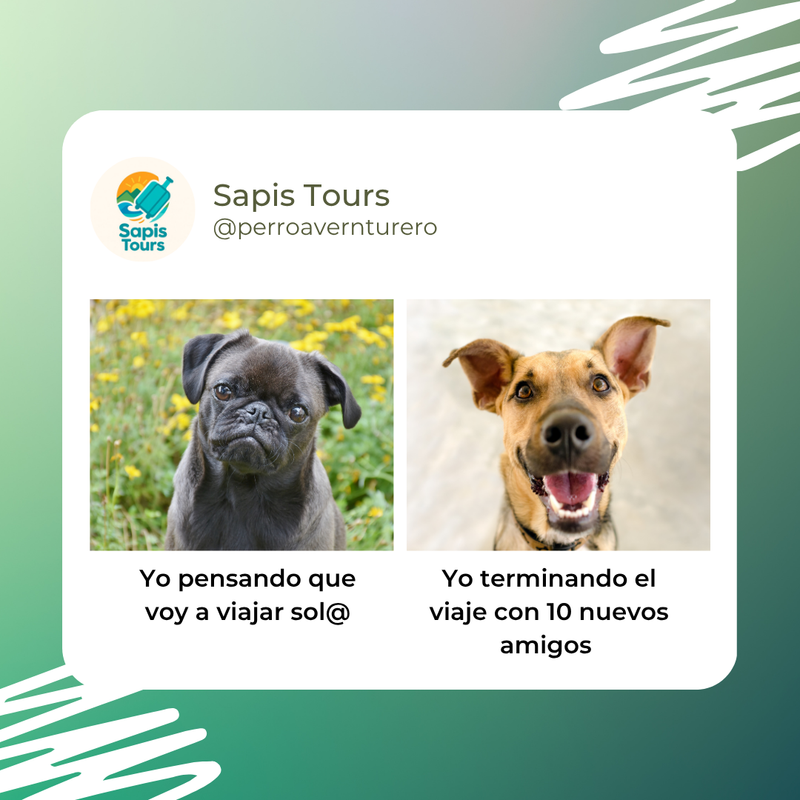 Sapis Tour