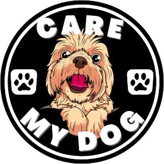 Dressage-chiens-maroc.com