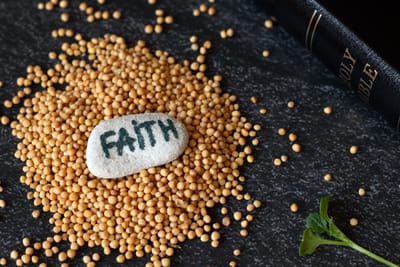 Are we serving like the mustard seed states? 9/24/25