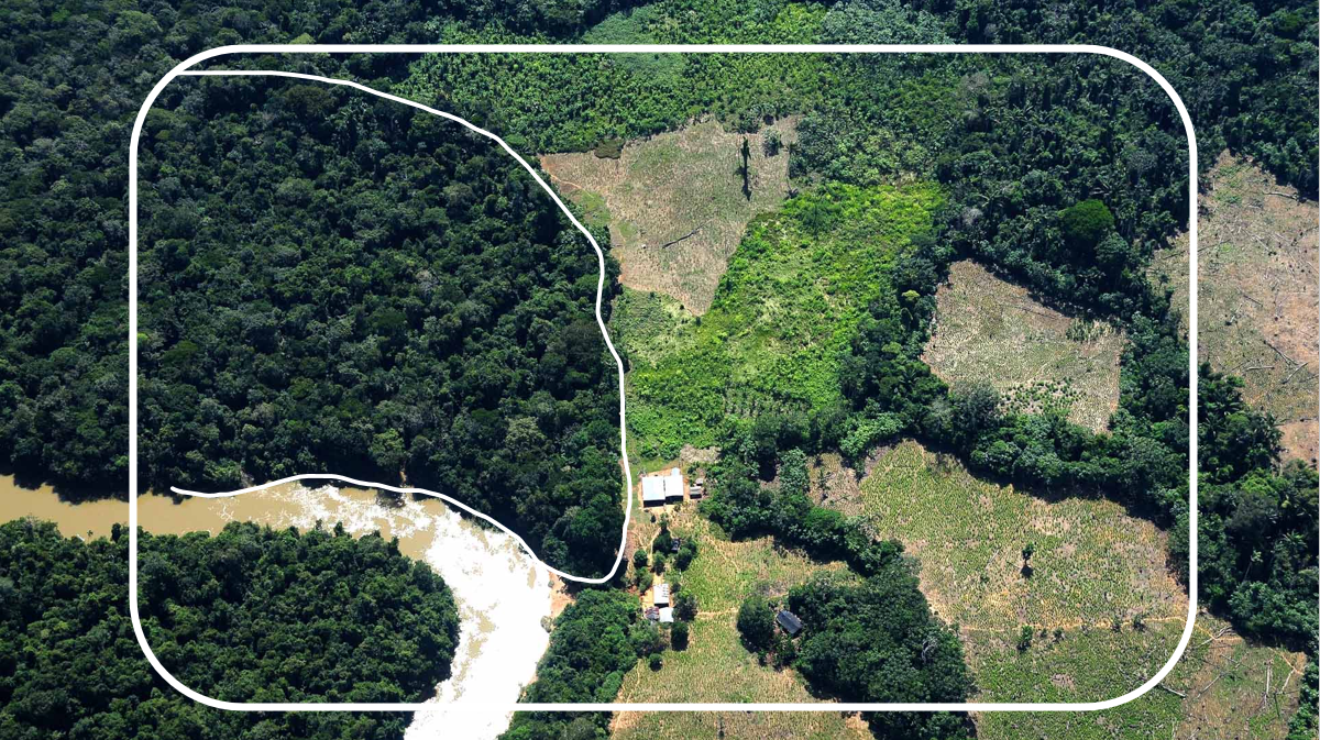 Land scarcity among Indigenous Territories of the Peruvian Amazon: causes and ramifications