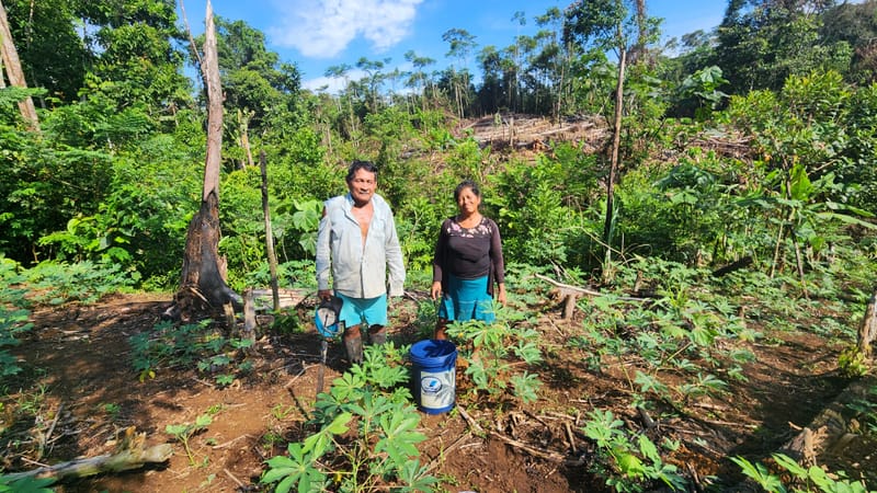 A Political Ecology of Forest Persistence in Indigenous Lands of the Peruvian Amazon