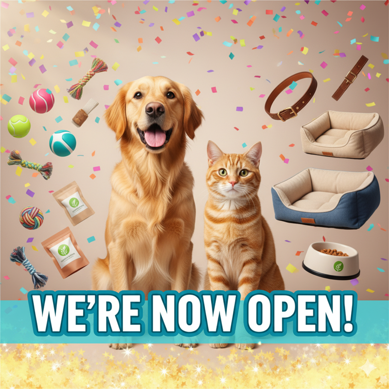 Graphic Design and Video