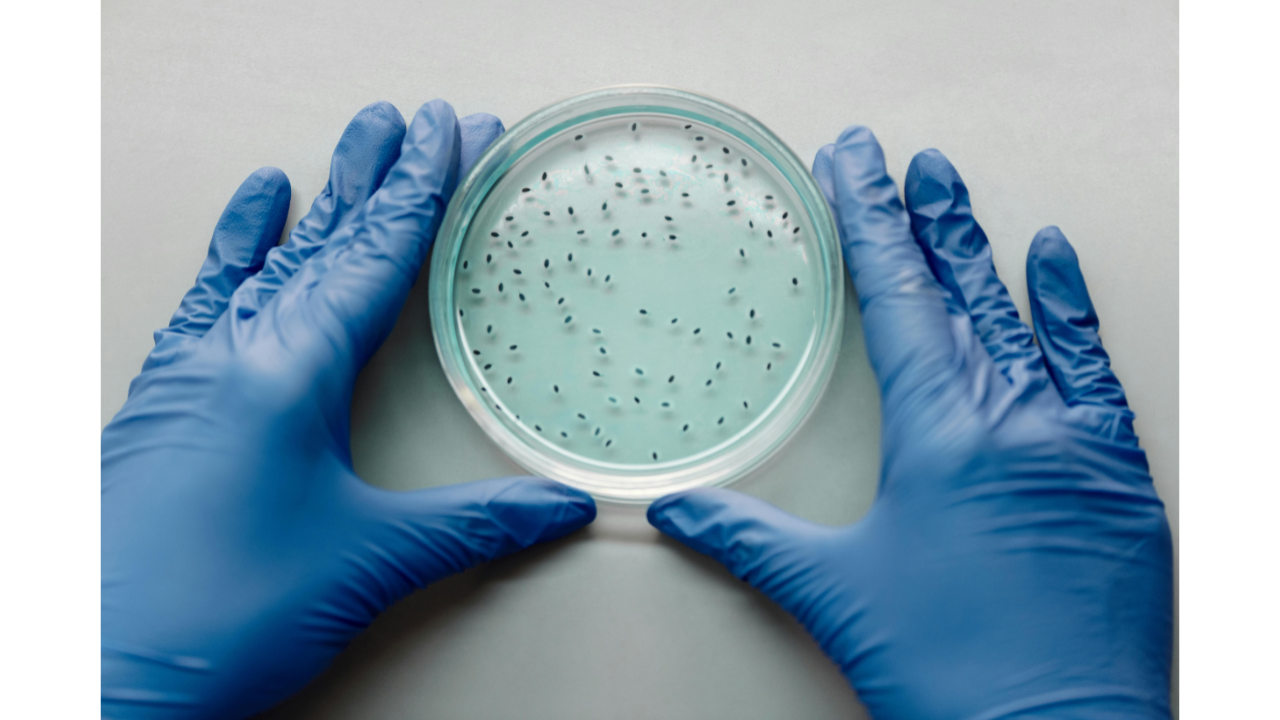 Understanding Viral vs Bacterial Infection