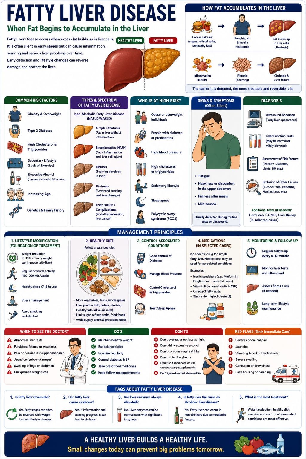 Fatty Liver Disease: When Fat Begins to Accumulate in the Liver
