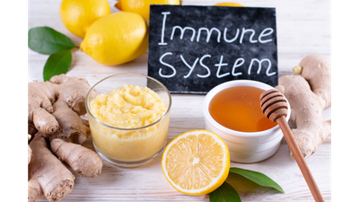 The Immune System: Your Body’s Personal Defense Army