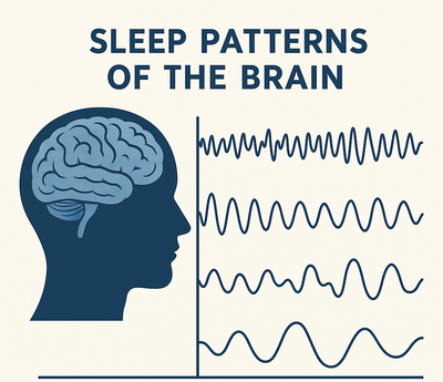 How Sleep Repairs the Body: A Doctor’s Perspective
