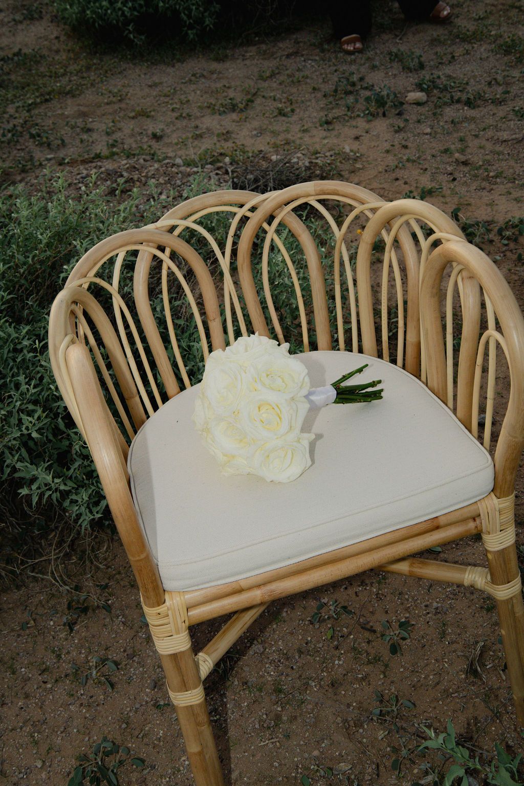 @nina.nicolephotography