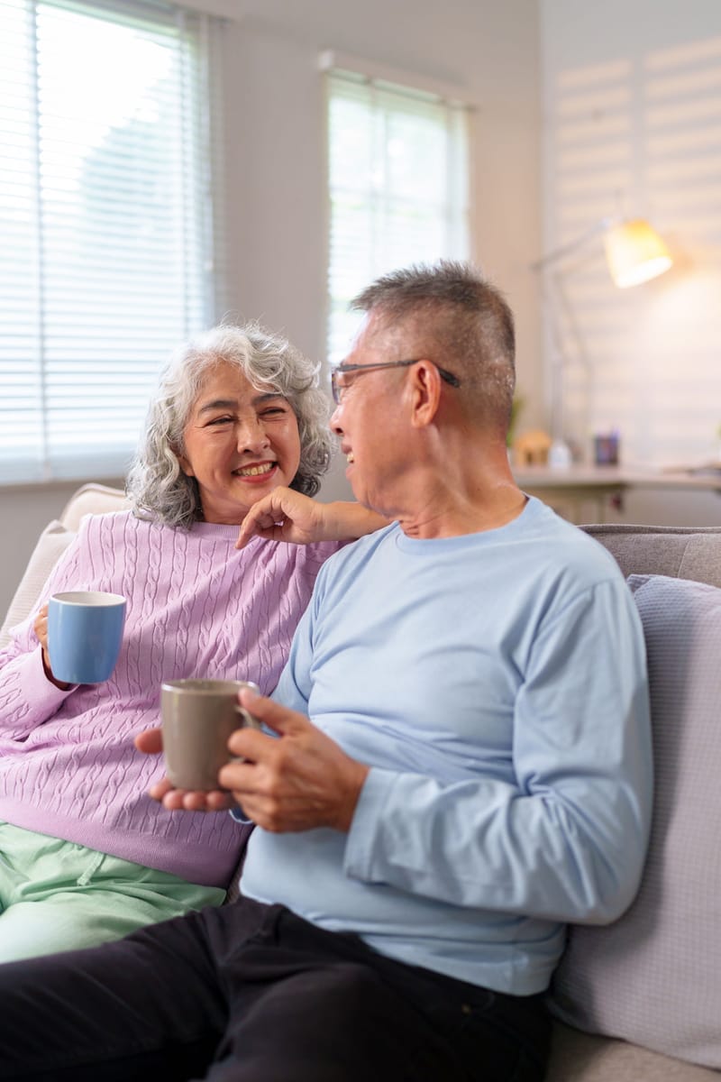 Companionship &amp; Emotional  Support