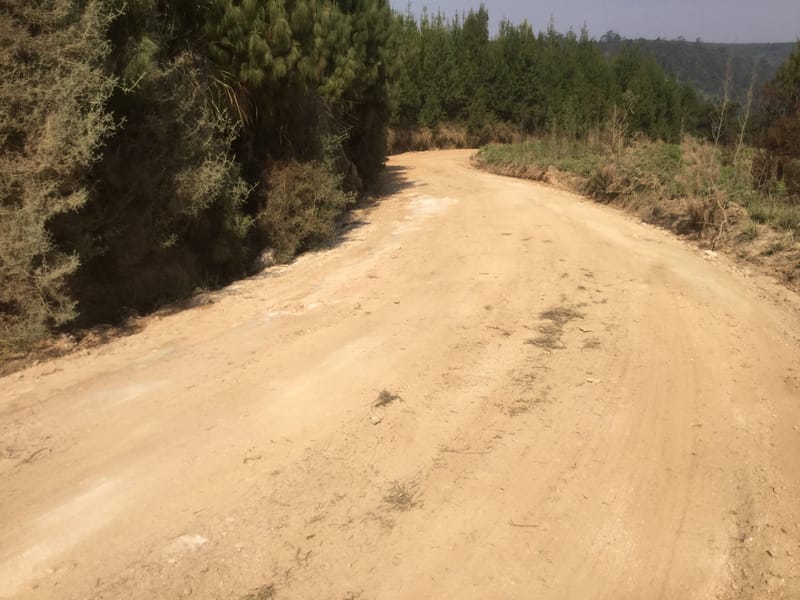 Nyakupinga Road Maintainance - Ward 26