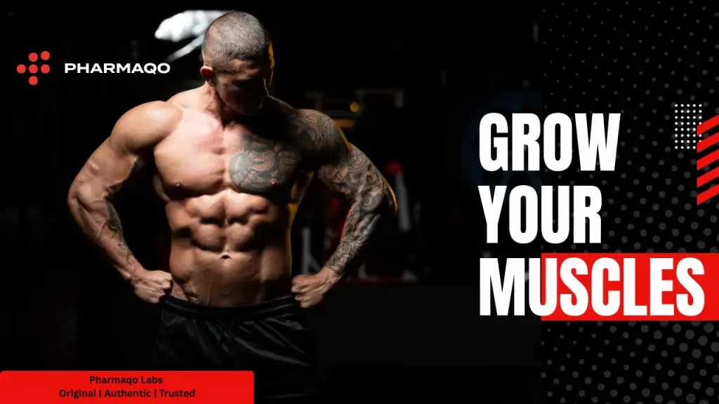 Do Bigger Muscles Make You Stronger? The Truth Explained