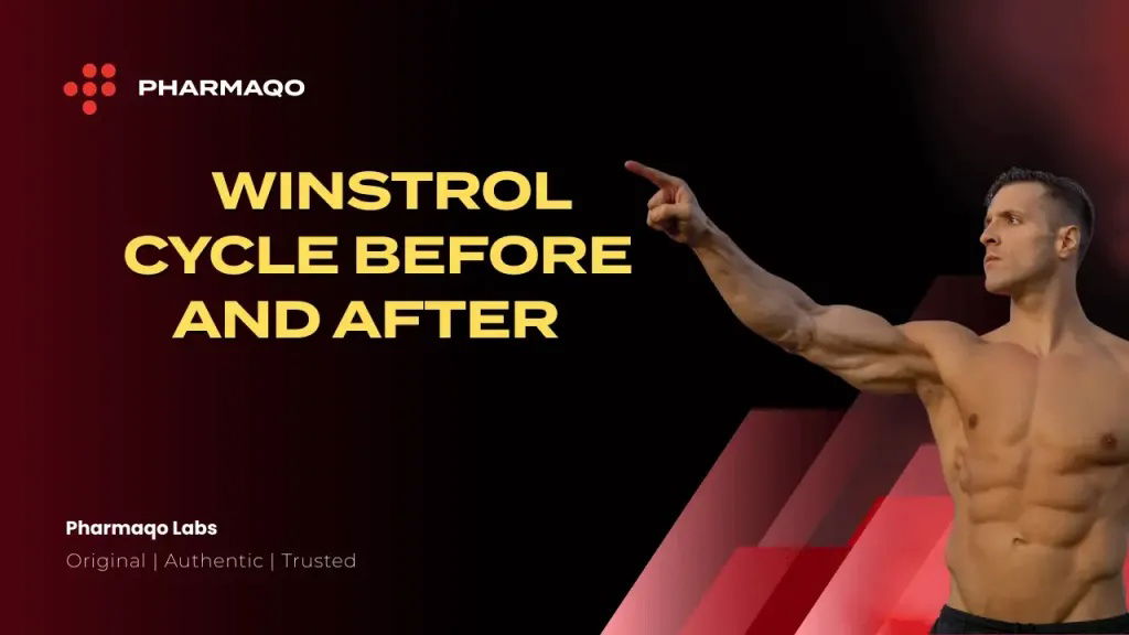 Winstrol Cycle Guide: Before and After Results