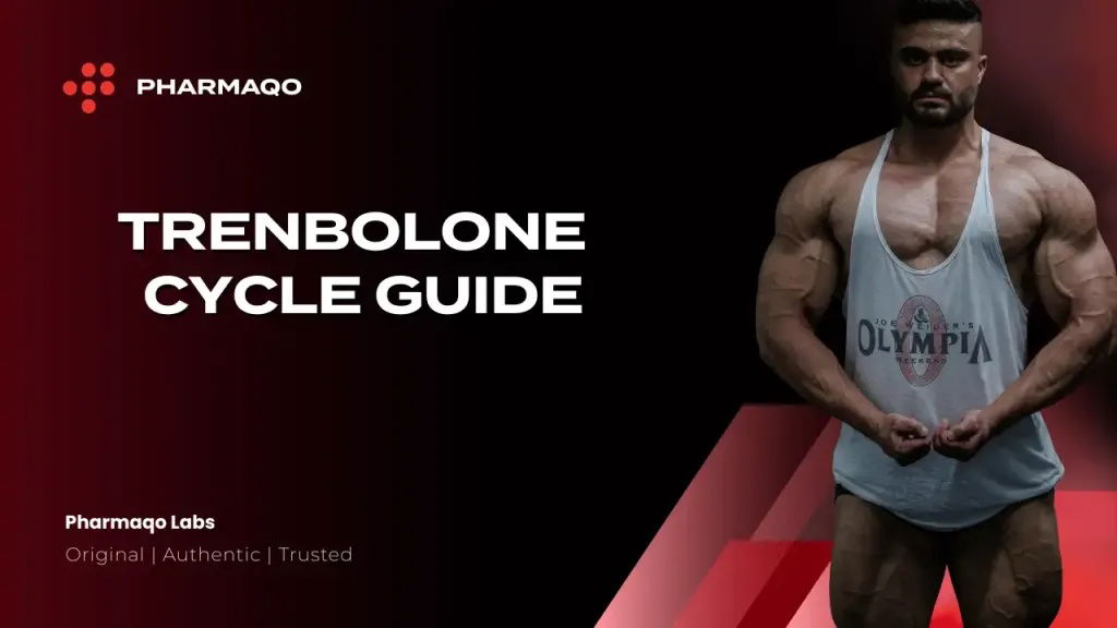 Trenbolone Cycle: How to Build Muscle Safely and Effectively