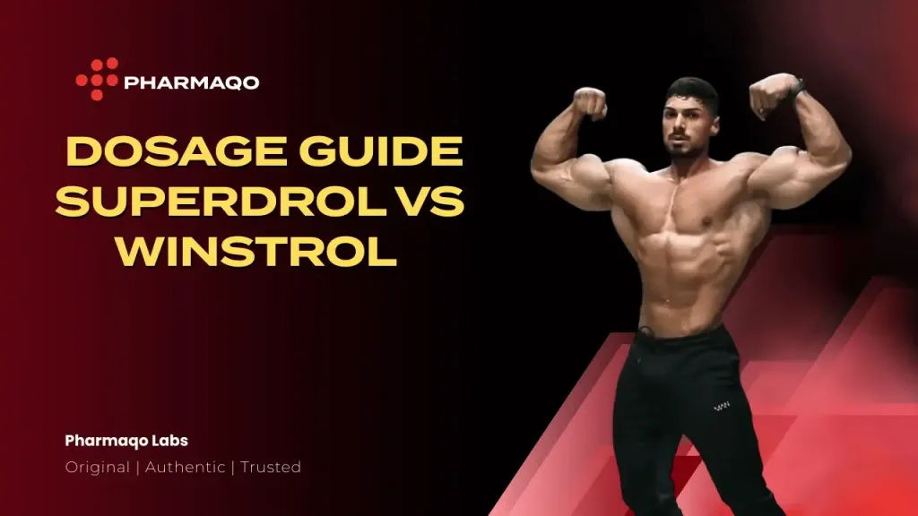 Superdrol vs Winstrol: Key Dosage and Cycle Tips