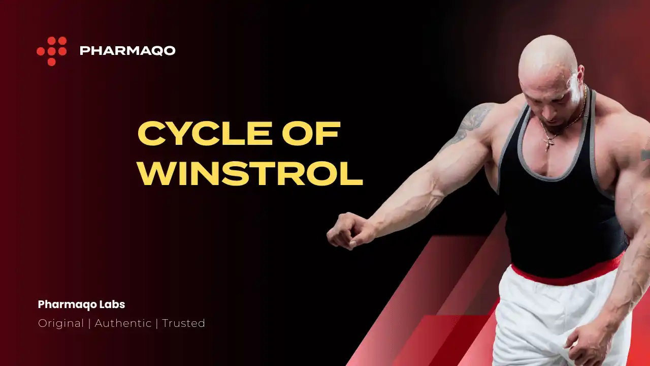 Powerful Winstrol Cycle: The Secret to a Lean, Defined Physique