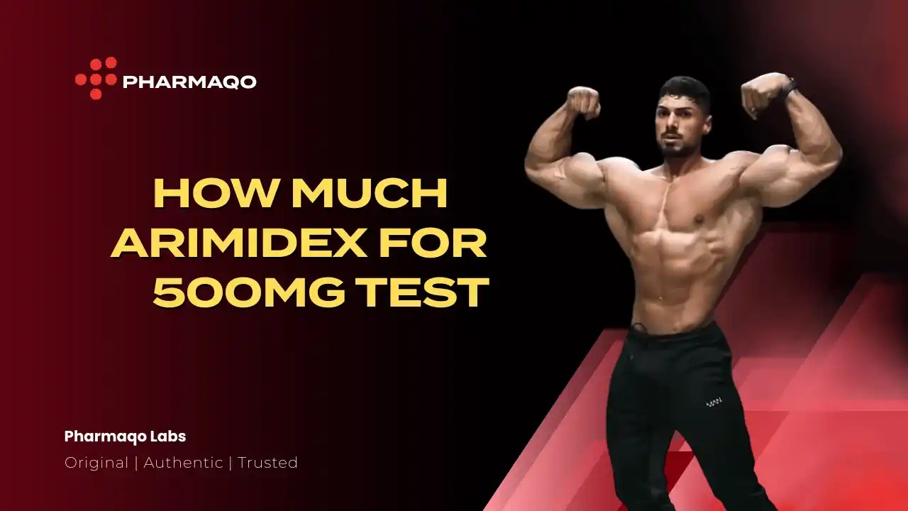 How to Use Arimidex Safely with a 500mg Testosterone Cycle