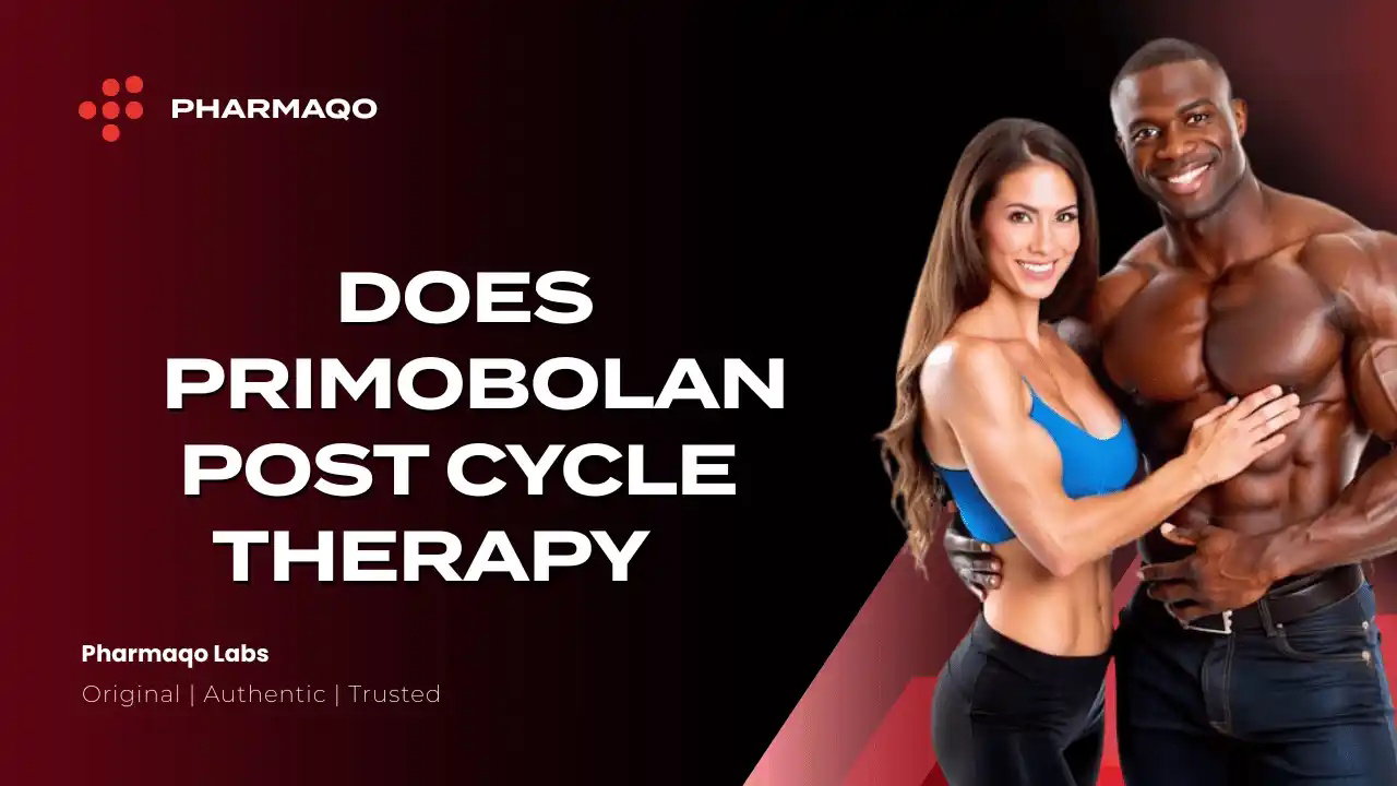 Understanding Primobolan Post Cycle Therapy