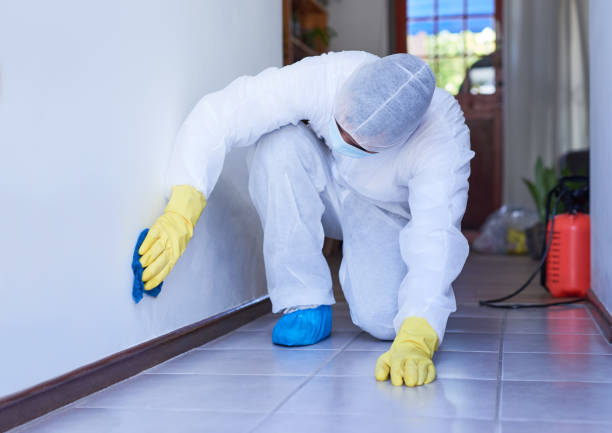 شركة المثالي