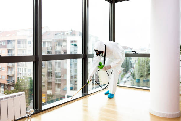 خبرة شركة المثالي