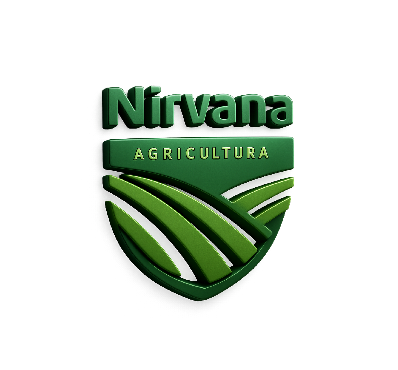 Áreas y Servicios de la Consultora Nirvana