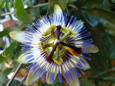 Angenommen auf eigenes Risiko