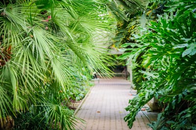 Informationen & Ablauf