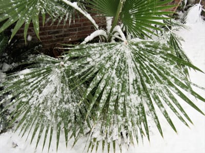 AGB`s der Überwinterung