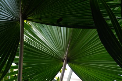 Preis & Verrechnung Überwinterung 25/26