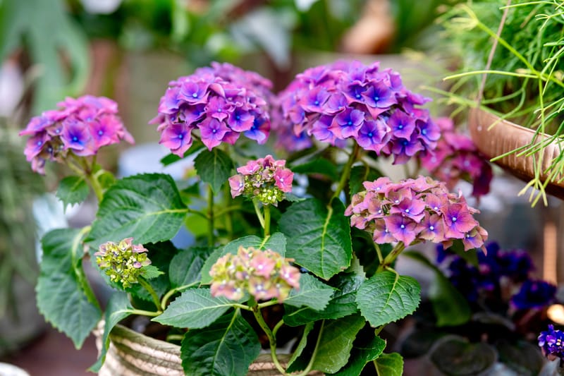 Aktuelle Bilder zum Saisonstart