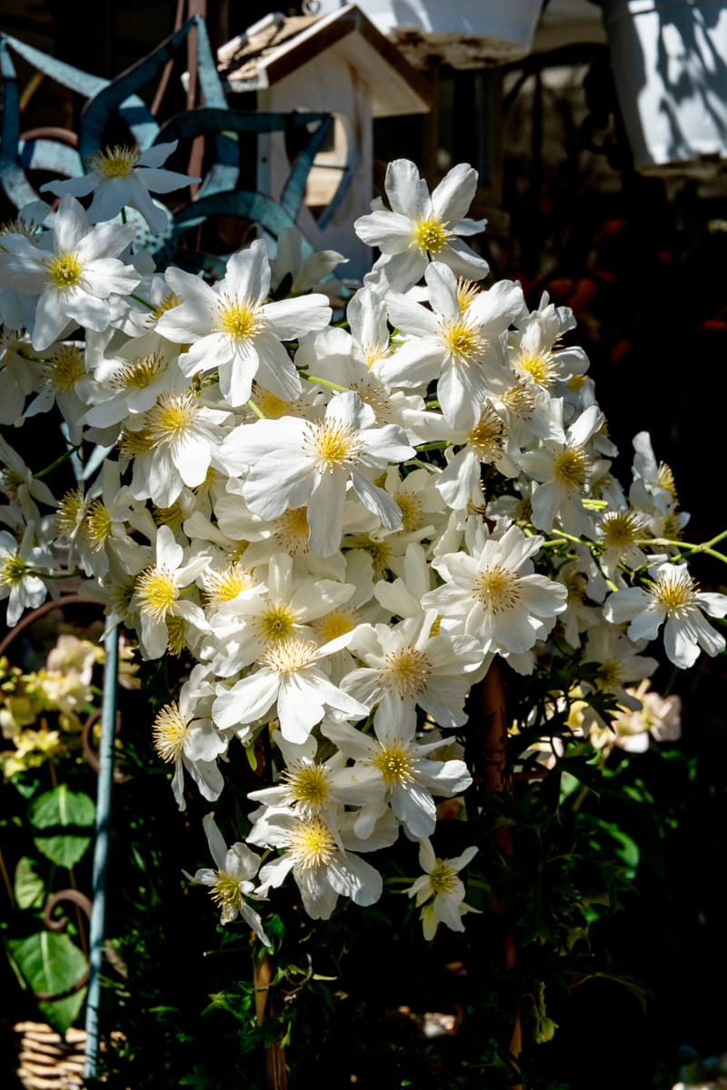 Aktuelle Bilder zum Saisonstart