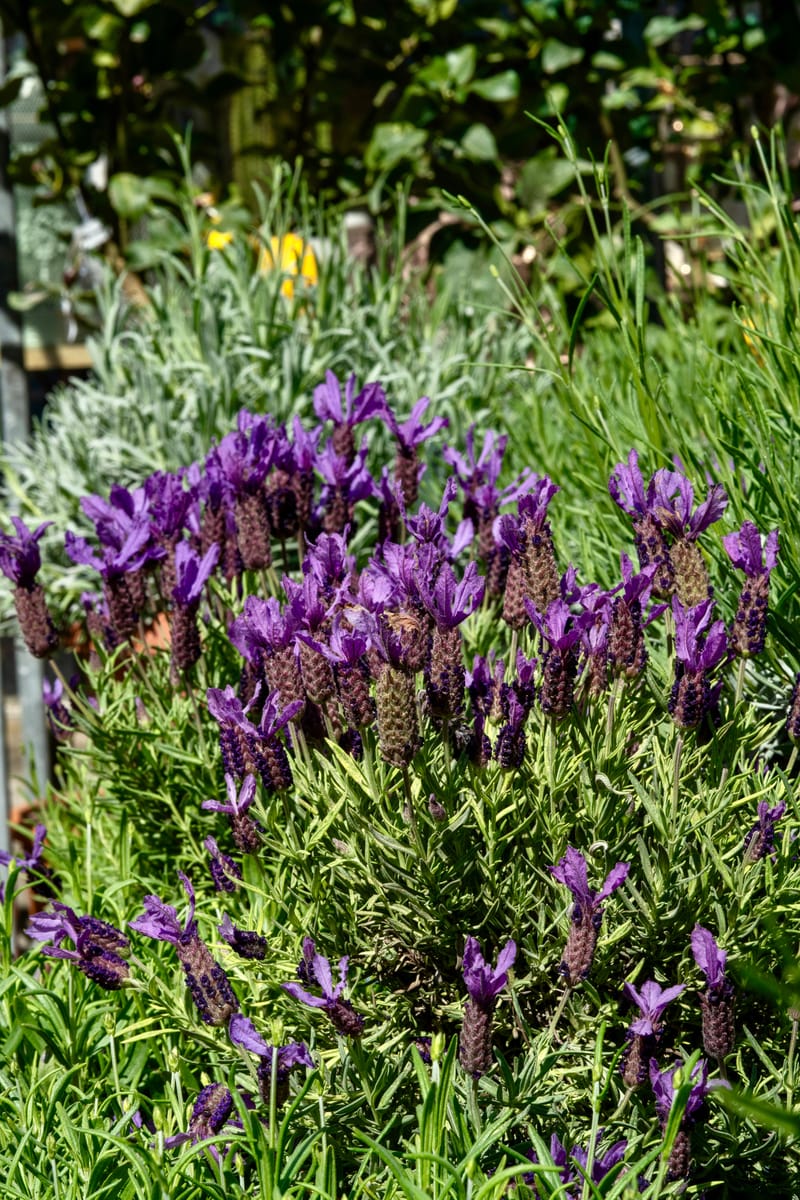 Aktuelle Bilder zum Saisonstart